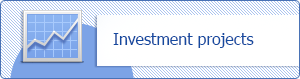 Investment projects
